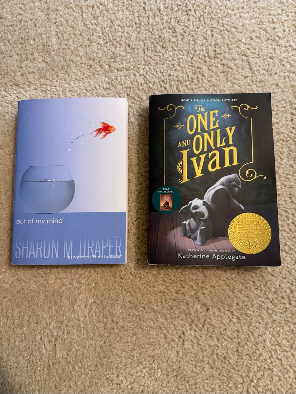 Young Teen Books-Out of My Mind and The One and Only Ivan Chapter Books